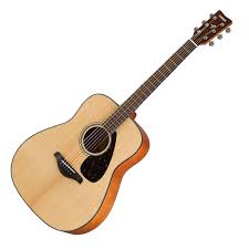 8 Best Acoustic Guitars for Beginners